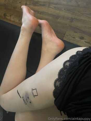 Aintapuppy