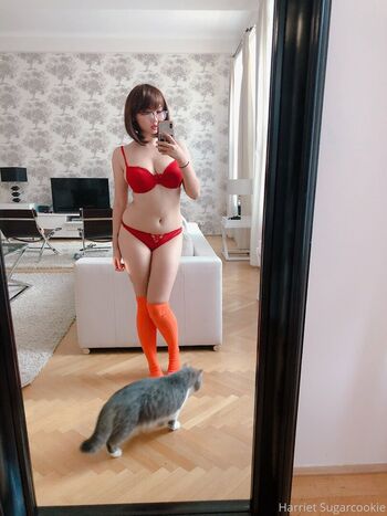 Harriet Sugarcookie
