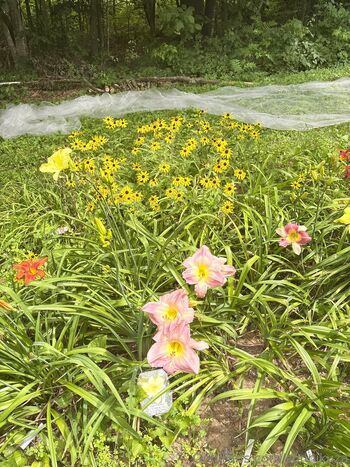 leepicawesomeswagbucks