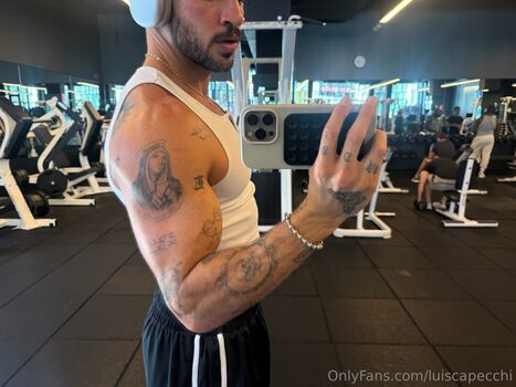 luiscapecchi