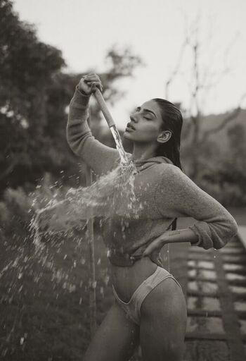 Pakhi Gadh | pakhigadh