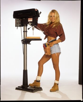 Pamela Anderson