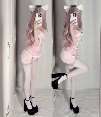 pawsbny
