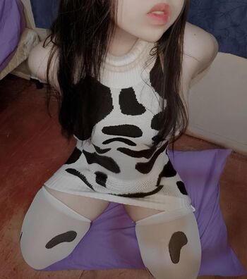 Polibolidolly
