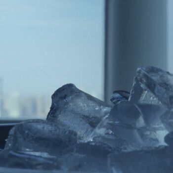 Stephanie Corneliussen