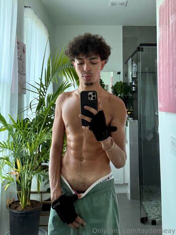 taydenseay