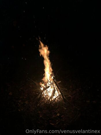 venusvelantinex