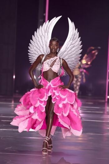 Victoria's Secret Angels
