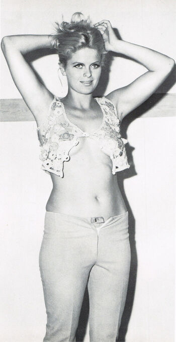 Vintage Vidsvarious Xxx