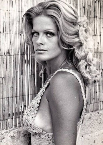 Vintage Vidsvarious Xxx