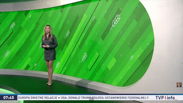 Weather Ladies